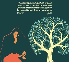 المغرب والأمم المتحدة تطلقان أول احتفالية من نوعها للاحتفاء باليوم العالمي لشجرة الأركان